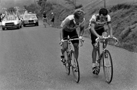 HINAULT & LEMOND: TEAMMATES OR RIVALS IN THE '85 TOUR DE FRANCE?